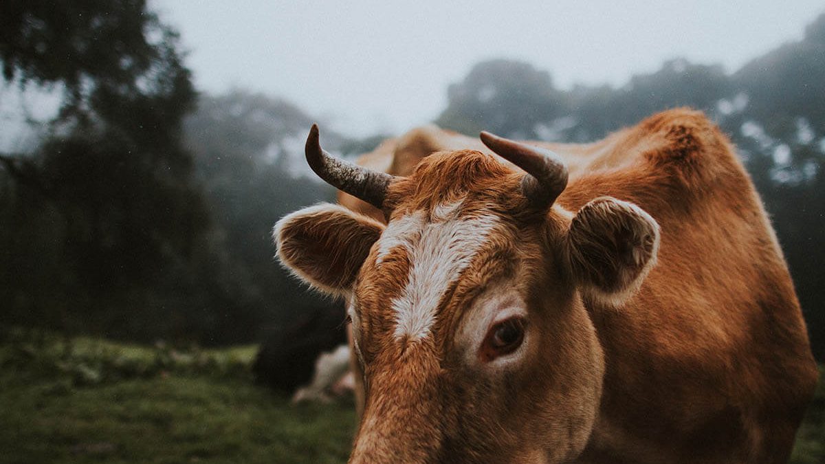 Who Else Wants To Know The Mystery Behind Travel?